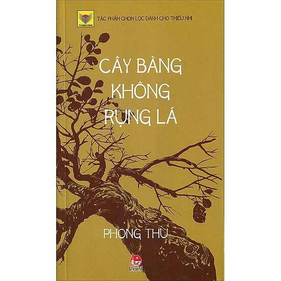 Cây Bàng Không Rụng Lá