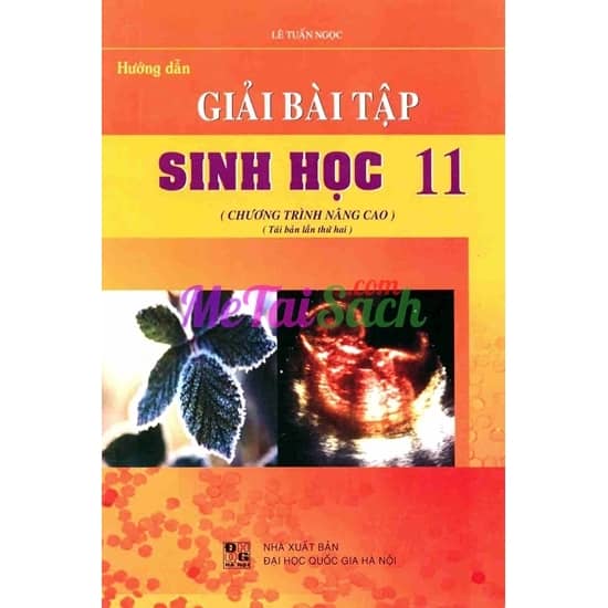 Hướng Dẫn Giải Bài Tập Sinh Học Lớp 11 Nâng Cao